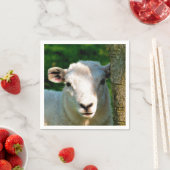 KUSTBEELDING SERVETTEN (Insitu)