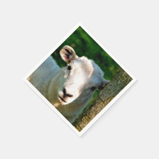 KUSTBEELDING SERVETTEN (Hoek)