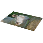 KUSTBEELDING SNIJPLANK (Hoek)