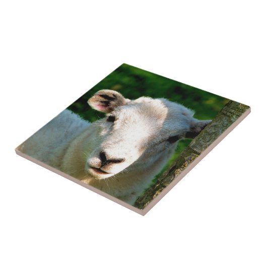 KUSTBEELDING TEGELTJE (Zijkant)