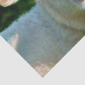 KUSTBEELDING TISSUEPAPIER (Detail)