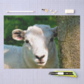 KUSTBEELDING TISSUEPAPIER (Craft)