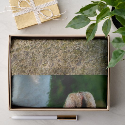 KUSTBEELDING TISSUEPAPIER (Geschenk)