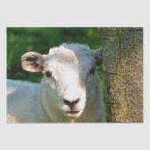 KUSTBEELDING TISSUEPAPIER (Voorkant)