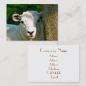 KUSTBEELDING VISITEKAARTJE (Voorkant / Achterkant)