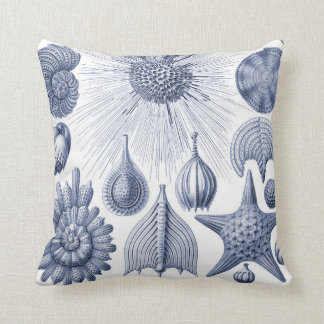  kustblauw en de illustratieluis van de stad kussen