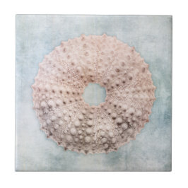 Kustblauw en perzikkleurig Zee Tegeltje