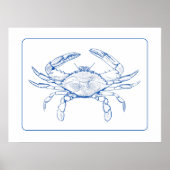 Kustblauwe en witte krab poster (Voorkant)