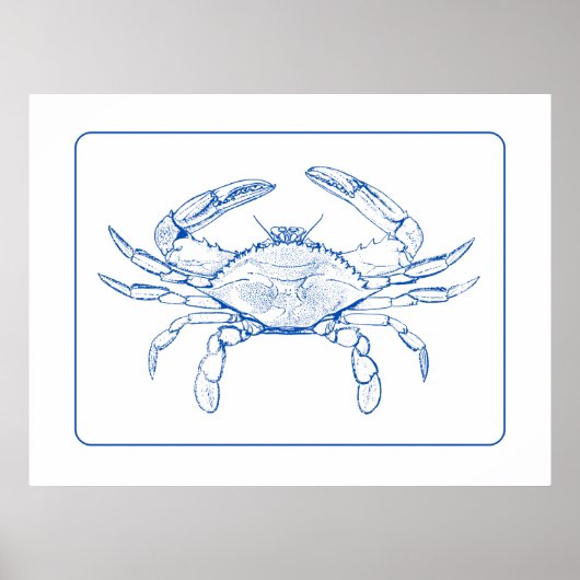 Kustblauwe en witte krab poster (Voorkant)