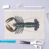 kustblauwe langoesten waterverf tissuepapier (Craft)