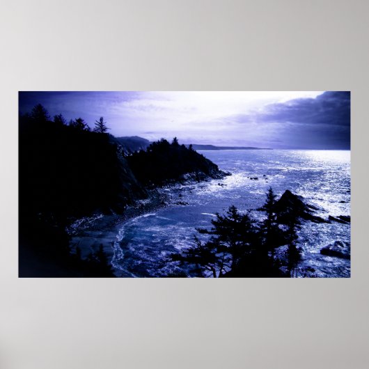 Kustblauwvis Poster (Voorkant)