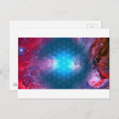 Kustbloem Briefkaart (Voorkant / Achterkant)