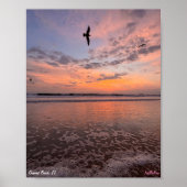 Kustbloemen 2023 poster (Voorkant)