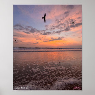 Kustbloemen 2023 poster