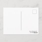 Kustboeien en stranden op Cueva del Indio Briefkaart (Achterkant)