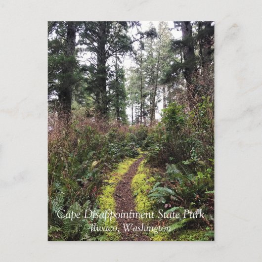 Kustbos, ontgoocheling Kaapverdië, WA Briefkaart (Voorkant)