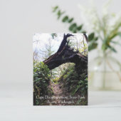 Kustbos, ontgoocheling Kaapverdië, WA Briefkaart (Staand voorkant)