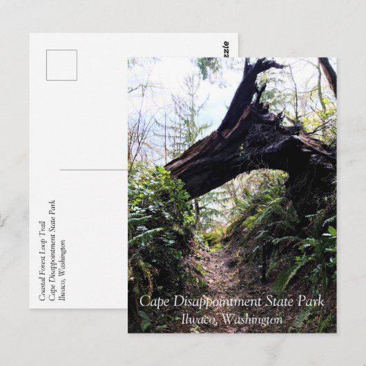 Kustbos, ontgoocheling Kaapverdië, WA Briefkaart (Voorkant / Achterkant)