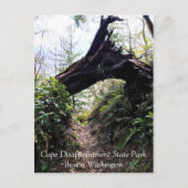 Kustbos, ontgoocheling Kaapverdië, WA Briefkaart (Voorkant)