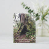 Kustbos, ontgoocheling Kaapverdië, WA Briefkaart (Staand voorkant)