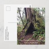 Kustbos, ontgoocheling Kaapverdië, WA Briefkaart (Voorkant / Achterkant)