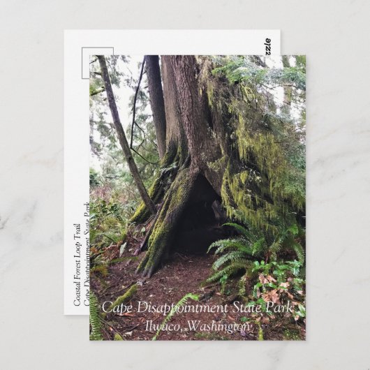 Kustbos, ontgoocheling Kaapverdië, WA Briefkaart (Voorkant / Achterkant)