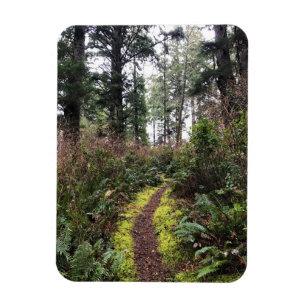 Kustbos, ontgoocheling Kaapverdië, WA Magneet