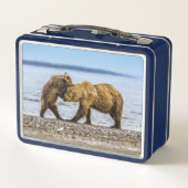 Kustbruine beren (Achterkant)