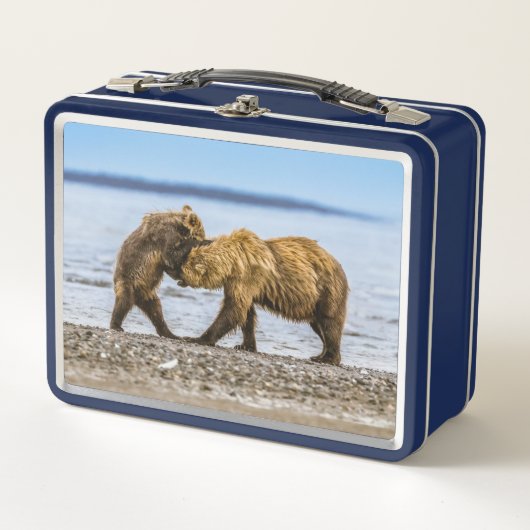 Kustbruine beren (Voorkant)