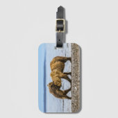 Kustbruine beren bagagelabel (Voorkant (verticaal))