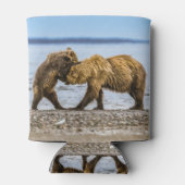 Kustbruine beren blikjeskoeler (Achterkant)