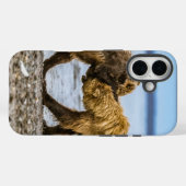 Kustbruine beren Case-Mate iPhone case (Achterkant (horizontaal))