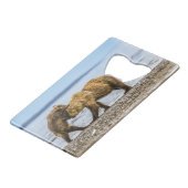 Kustbruine beren creditkaart flessenopener (Voorkant Gekanteld)