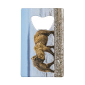 Kustbruine beren creditkaart flessenopener (Achterkant)