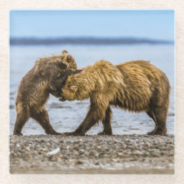 Kustbruine beren glazen onderzetter