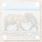 Kustbruine beren glazen onderzetter (Achterkant)