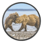 Kustbruine beren hockey puck (Voorkant)