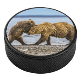 Kustbruine beren hockey puck