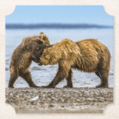 Kustbruine beren kartonnen onderzetters (Voorkant)