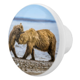 Kustbruine beren keramische knop