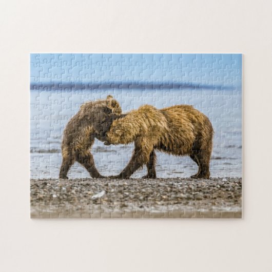 Kustbruine beren legpuzzel (Horizontaal)