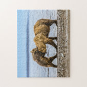 Kustbruine beren legpuzzel (Verticaal)