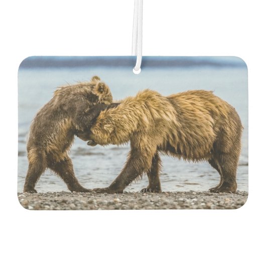 Kustbruine beren luchtverfrisser (Achterkant)