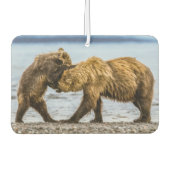 Kustbruine beren luchtverfrisser (Voorkant)