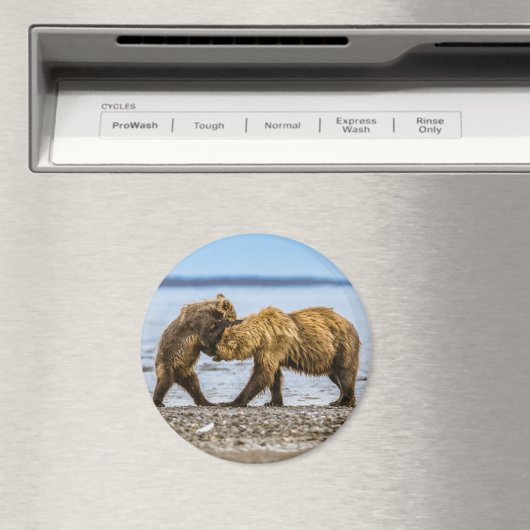 Kustbruine beren magneet (Insitu (Vaatwasser))