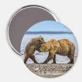 Kustbruine beren magneet (Voorkant / Achterkant)