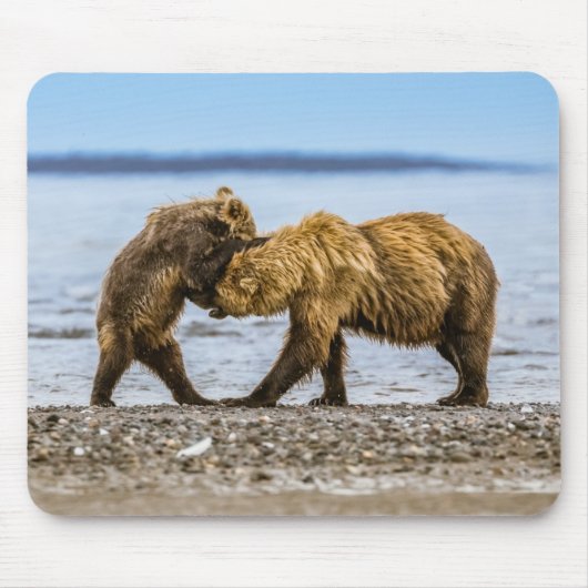 Kustbruine beren muismat (Voorkant)