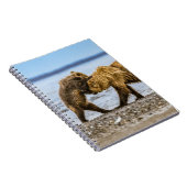 Kustbruine beren notitieboek (Rechterzijde)
