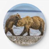 Kustbruine beren papieren bordje (Voorkant)