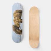 Kustbruine beren persoonlijk skateboard (Voorkant)